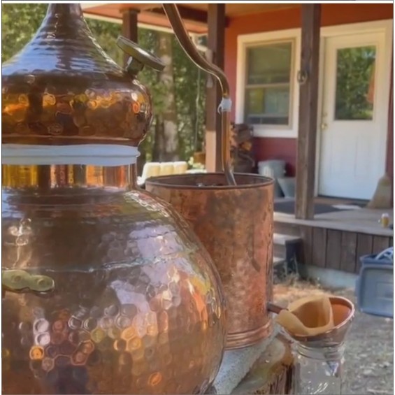 Soldered Copper Moonshine Alembic Still @ Witch in the Woods, California, USA